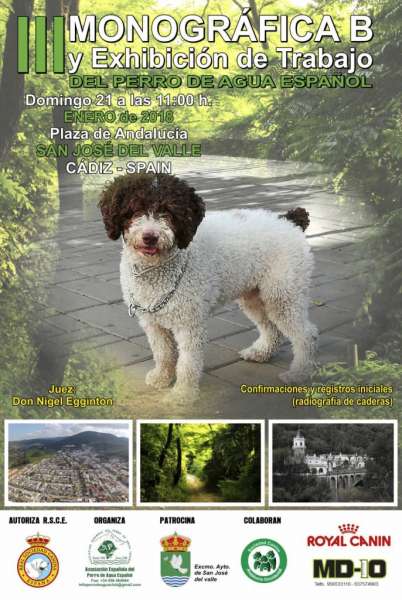 ASOCIACIÓN ESPAÑOLA DEL PERRO DE AGUA ESPAÑOL - Perro de Agua Español. Belleza. III MONOGRÁFICA Y EXHIBICIÓN DE TRABAJO DEL PERRO DE AGUA ESPAÑOL (Cádiz   España)