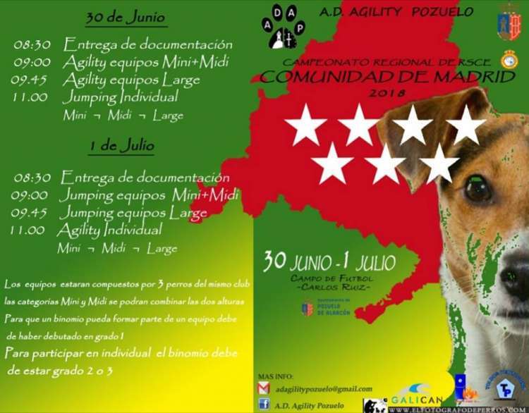 CAMPEONATO REGIONAL DE AGILITY DE LA RSCE de la COMUNIDAD DE MADRID