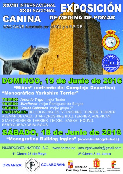 Belleza. XXVIII EXPOSICIÓN INTERNACIONAL DE MEDINA DE POMAR (Burgos   España)