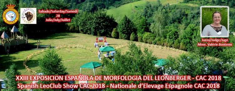 Belleza. XXII ESPOSICIÓN MONOGRÁFICA DEL LEONBERGER (Guipúzcoa España) Belleza. XXII ESPOSICIÓN MONOGRÁFICA DEL LEONBERGER (Guipúzcoa España)