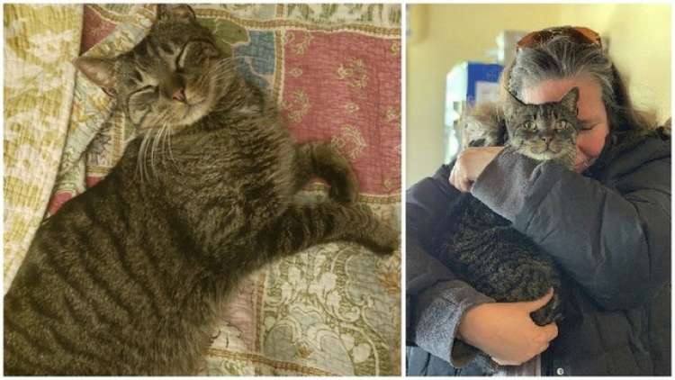 Cortesía de Elinore Repucci.