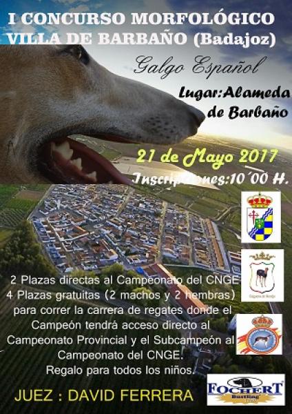 CLUB NACIONAL DEL GALGO ESPAÑOL - Galgo Español. Belleza. I CONCURSO MORFOLÓGICO VILLA DE BARBAÑO (Badajoz   España)