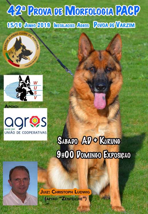 PASTOR ALEMÃO CLUBE de PORTUGAL - Pastor Alemán. Belleza. 42.ª Exposición Canina Monográfica do Cão do Pastor Alemão (CAC QC) (Porto   Portugal)