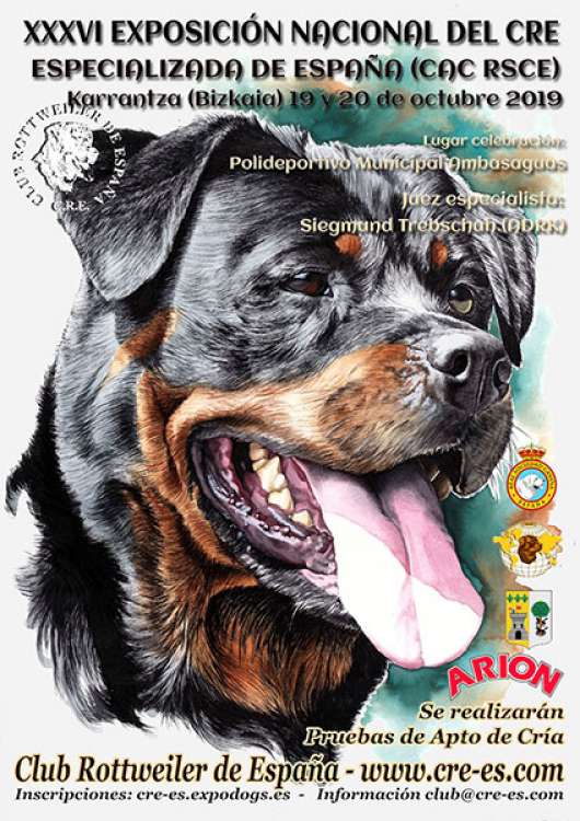 Rottweiler. Belleza.  XXXVI Exposición Nacional del CRE Especializada de España (Vizcaya   España)