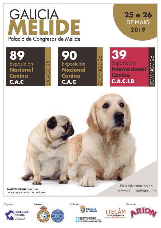 Sociedad Canina Gallega - Belleza. 89 Exposición Nacional Canina (A Coruña   España)
