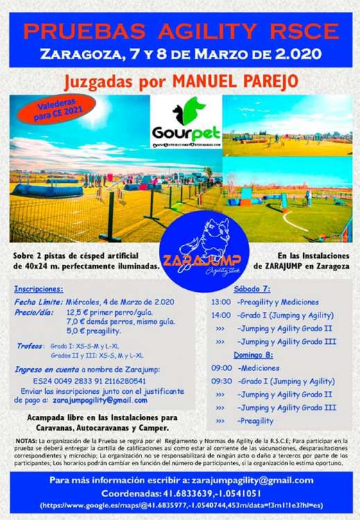Agility. Prueba de Agility (Zaragoza   España)