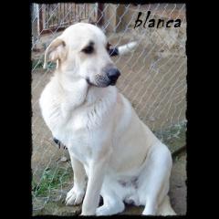 BLANCA. 