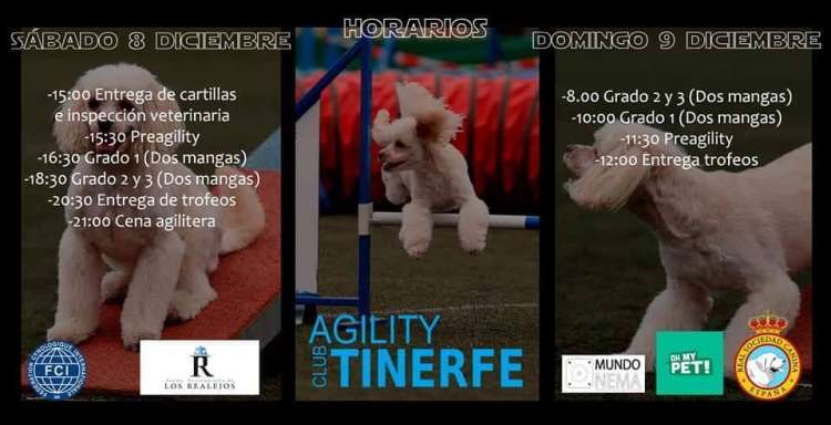 Prueba de Agility