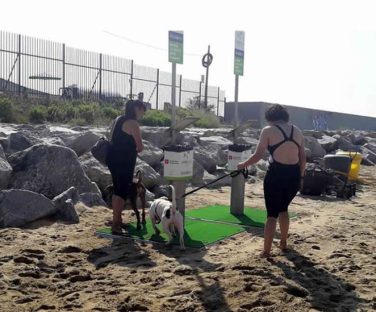 Playa para perros con sus ciudadanos en Barcelona Playa para perros con sus ciudadanos en Barcelona