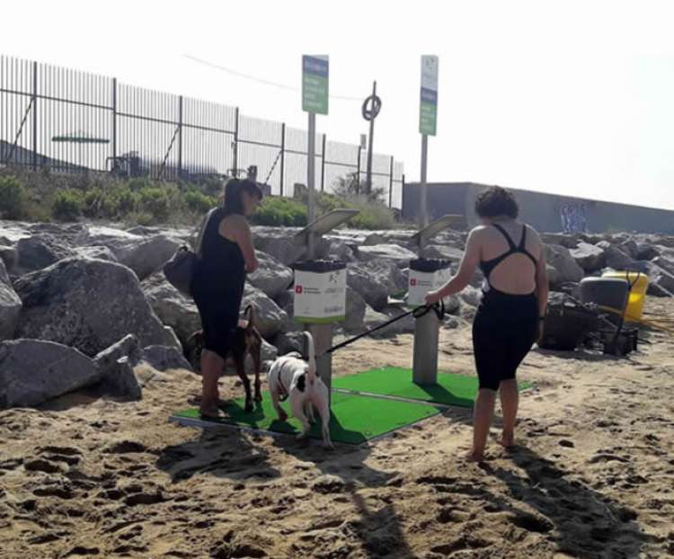 Playa para perros con sus ciudadanos en Barcelona