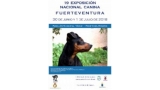 19 Exposición Nacional Canina de Fuerteventura
