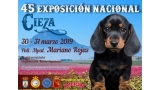 Belleza. EXPOSICION NACIONAL CANINA de PRIMAVERA (Murcia   España)