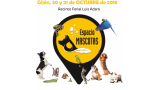 IV Concurso Nacional Canino de Gijón 2018