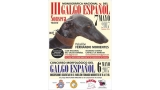 Galgo Español. Belleza. CONCURSO MORFOLÓGICO DEL GALGO ESPAÑOL (Toledo   España)