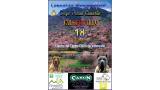 Dogo Canario. Belleza. CONCURSO MONOGRÁFICO DEL DOGO DE PRESA CANARIO (Las Palmas   España)