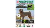 Belleza. II Monográfica B del perro de agua español y exhibición de trabajo (Cádiz   España)
