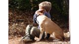 Estudios científicos revelan que los perros odian los abrazos.