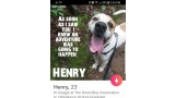 Henry busca familia adoptiva por Tinder