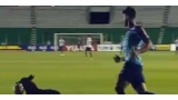 Perro interrumpe juego de fútbol en Bolivia