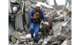 La Unidad Canina de Rescate del Ministerio de Situaciones de Emergencia de Rusia celebra su 20 aniversario.