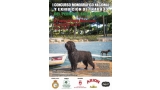 Belleza. MONOGRÁFICA B DEL PERRO DE AGUA ESPAÑOL (Cádiz   España)