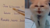 El gato que sorprende con el maullido de los nombres de sus dueños (Foto  captura del video)