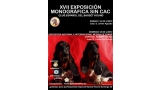Belleza. XVII EXPOSICIÓN MONOGRÁFICA SIN CAC DEL CLUB ESPAÑOL DEL BASSET HOUND (Burgos   España)