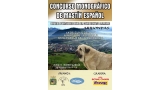Mastín Español. Belleza. CONCURSO MONOGRÁFICO DE MASTÍN ESPAÑOL (Asturias   España)