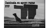 Vecinos de Gijón se reúnen para pedir la abolición de la Ley de perros potencialmente peligrosos.