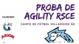 Prueba de Agility