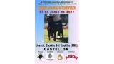 Belleza. III Concurso Nacional Monográfico del Rottweiler en Levante (Castellón   España)