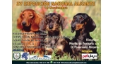 XV Exposición Canina Nacional de Alicante