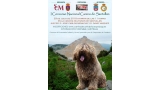 Belleza. I CONCURSO NACIONAL CANINO DE SANTULLÁN (Cantabria   España)