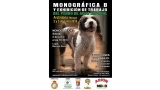 Belleza. Monográfica B del perro de agua español Archidona 2018 (Málaga   España)