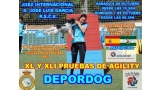 Agility. Prueba de Agility (Cádiz   España)