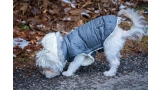 Perro con abrigo