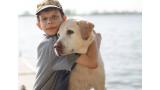 Niño junto a un labrador abrazándole