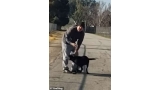 Hombre es grabado cuando abandona a su perro (Foto  Facebook)