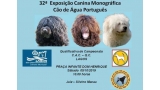 Perro de Agua Portugués. Belleza. 32.ª  Monográfica do Cão de Água (CAC QC) (Faro   Portugal)