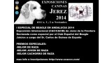 Beagle. I EXPECIAL DE BEAGLE ANDALUCÍA 2014