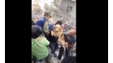 Perro rescatado tras terremoto en México