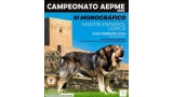 Mastín del Pirineo. Belleza. III CAMPEONATO MONOGRÁFICO DEL MASTÍN DEL PRINEO (Murcia   España)