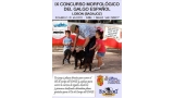 Belleza. IX CONCURSO MORFOLÓGICO DEL GALGO ESPAÑOL (Badajoz   España)