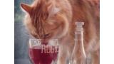 Los dueños de gatos ya pueden disfrutar del buen vino en compañía de sus mascotas.