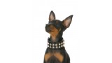 Toy Manchester Terrier. 