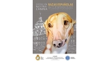 Belleza. EXPOSICIÓN NACIONAL CANINA DE RAZAS ESPAÑOLAS (Madrid   España)