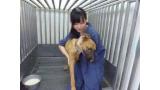 Una veterinaria se suicida tras confesar haber acabado con la vida de 700 perros.