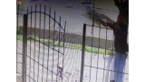Hombre queda grabado en cámara de seguridad cuando maltrata a un perrito