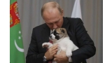 El Presidente de Rusia con su nuevo cachorro (FOTO AFP)