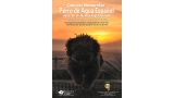 Perro de Agua Español. Belleza. CONCURSO MONOGRÁFICO del PERRO DE AGUA ESPAÑOL (Málaga   España)